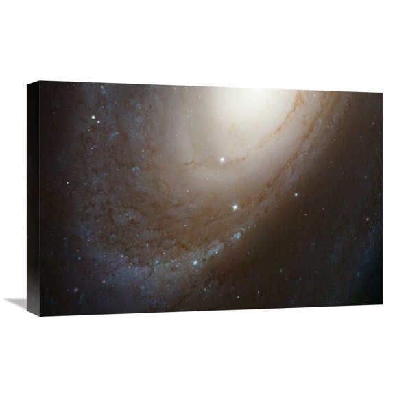 Global Gallery NASA,'HST ACS Image of M81' Stretched Canvas Artwork