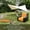 Orange, variant on PVC Plush Inflatable Sofa with Armrests, Built-in Electric Air Pump Foldable Air Couch, Indoor Outdoor Use for Home Terrace Beach Camping Picnic