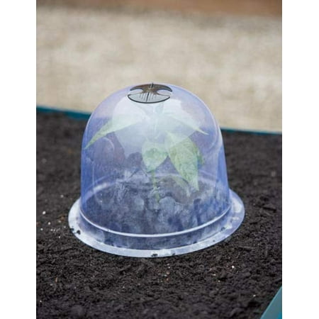 Cloche Garden Medium Garden Cloches, Set of 6, BENEFITS- Popular in the Victorian era, glass bell cloches were used to create mini-greenhouses that let light.., By Gardeners Supply Company ()