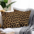 thumbnail image 2 of Fashion Sexy Animal Outdoor Pillow Covers Pack of 2 Vintage Brown Leopard Print Waterproof Throw Pillow Covers Decorative Cushion Cases for Patio Garden Tent Balcony Couch 16x16 inch, 2 of 8