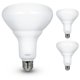 thumbnail image 1 of Bombillas LED Feit Electric BR40, 13 W, 850 lm, regulables, 2700 K, paquete de 2, 1 of 8