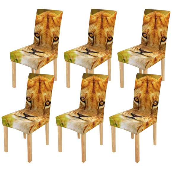 Lion Face Walmart Canada