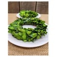 thumbnail image 3 of Boxwood Mini Wreath 6 Inch Preserved Boxwood Wreath, Wall Door Mounting Table Placement 6" Preserved Boxwood Candle Ring, 3 of 4