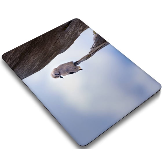 KSK KAISHEK Hard Shell Cover Compatible MacBook Pro 16 inchs with Touch ID Type C + Black Keyboard Cover Model: A2780 M2/A2485 M1 (Feather Series 0567)