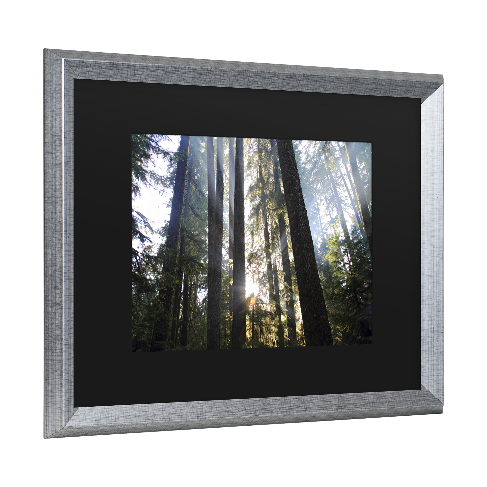 Trademark Fine Art 'Sunrays' Canvas Art by Pierre Leclerc