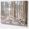 thumbnail image 2 of Forêt Dense en Hiver Photographie - Art Moderne sur Toile de Forêt, 2 of 4