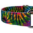thumbnail image 4 of Country Brook Petz® Tie Dye Stripes Reflective Martingale Dog Collar, Large, 4 of 5