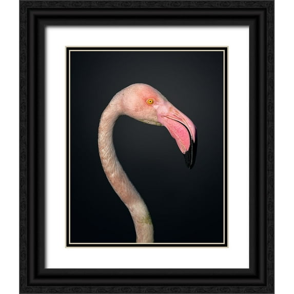 Fegari 12x14 Black Ornate Wood Framed with Double Matting Museum Art Print Titled - F L A M B O Y A N C E