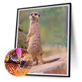 thumbnail image 2 of Diamond Drill Wildlife Cat Badger 5D DIY Kits de pintura Full Round Wall Art Decor Hugtrwg Para estrenar, 2 of 9