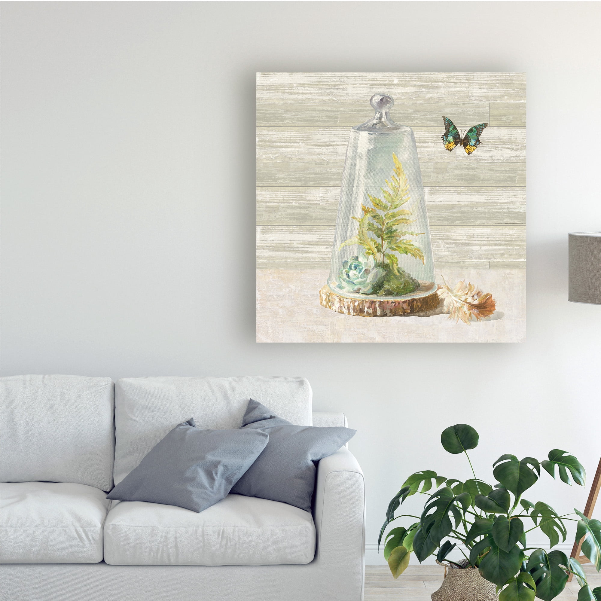Trademark Fine Art 'Succulent Garden IV' Canvas Art by Danhui Nai