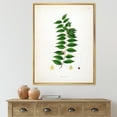 thumbnail image 2 of Designart 'Ancient London Plants VI' Farmhouse Framed Canvas Wall Art Print, 2 of 5