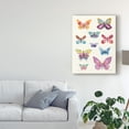 thumbnail image 3 of Trademark Fine Art 'Butterfly Charts II' Canvas Art by Courtney Prahl, 3 of 4