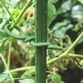 thumbnail image 5 of Gardening Essential Plants Soft Wire Garden Flexible Tie Soft Plant Tie TPR Twist Tie Supports Plant Vine Planting Bracket,2.5mm*10m, 5 of 5