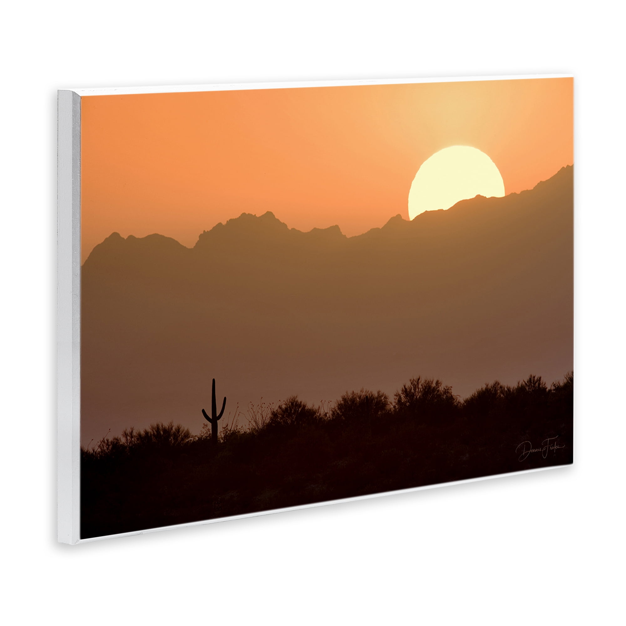 Stupell Industries Sunlit Desert Cactus Landscape & Nature Photography Unframed Art Print Wall Art, 15 x 10