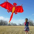 thumbnail image 2 of TISHITA 3D Spring Kite Set Funny Easy to Fly Animal Flyer Toys for Windy Day Fall Summer Red, 2 of 7
