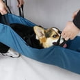 thumbnail image 1 of Camilla de primeros auxilios Colco Camilla de transporte Oxford portátil para perros, 1 of 8