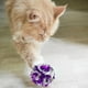 thumbnail image 4 of 20 piezas bola arrugada juguete para gato pelota gatito ejercicio gatito juguete bola de papel, 4 of 5