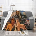 thumbnail image 2 of The Lion King Fleece Blanket Super Soft Cozy Throw Blanket Fuzzy Comfy Flannel Blanket Warm Plush Blankets And Throws For Couch, Sofa, Bed 80"X60", 2 of 7
