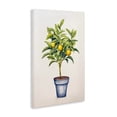 thumbnail image 3 of Stupell Industries Citrus Serenade Plant Canvas Wall Art design by Andrea Haase, 24 x 16, 3 of 7