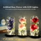 thumbnail image 5 of leyfeng Rosa artificial en cúpula de cristal con caja de regalo con luces LED Forever Artificial Forever Rose, 5 of 8