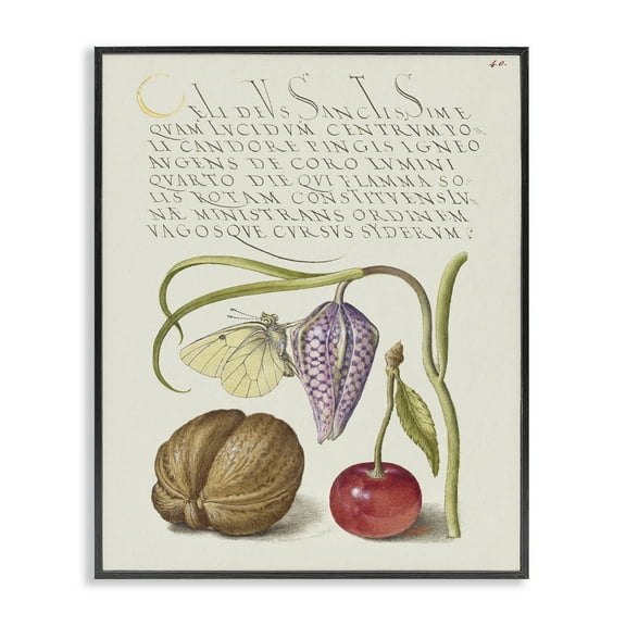 Stupell Industries Woodland Flora Study Text & Numbers Painting Black Framed Art Print Wall Art, 11 x 14