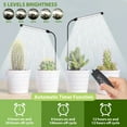 thumbnail image 4 of LED Grow Light USB Full Spectrum Plant Light for Indoor Succulent Plants, Dimmable Plant Lamp with Timer Switch, 4 of 12