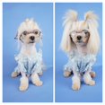 thumbnail image 5 of Pet Clothing Decorative Striped Stylish Spring Summer Small Dog Puppy Cat Princess Sundress, 5 of 5