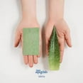 thumbnail image 4 of T TAIO ESPONJABON SAVILA ALOE VERA Pierre de Porcelaine. 1 Pce, 4 of 5