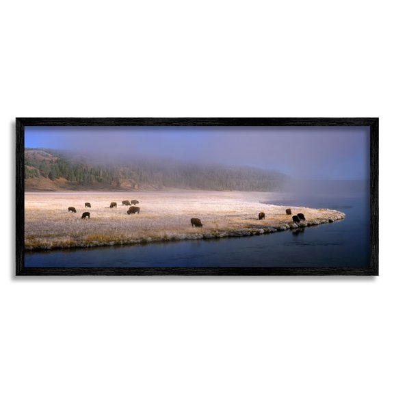 Stupell Industries Bison Animals Grazing Rural River Nature Photography Photograph Black Framed Art Print Wall Art, Design by Jim Becia