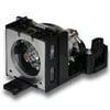 Sharp AN-B10LP for SHARP Projector Lamp with Housing by TMT