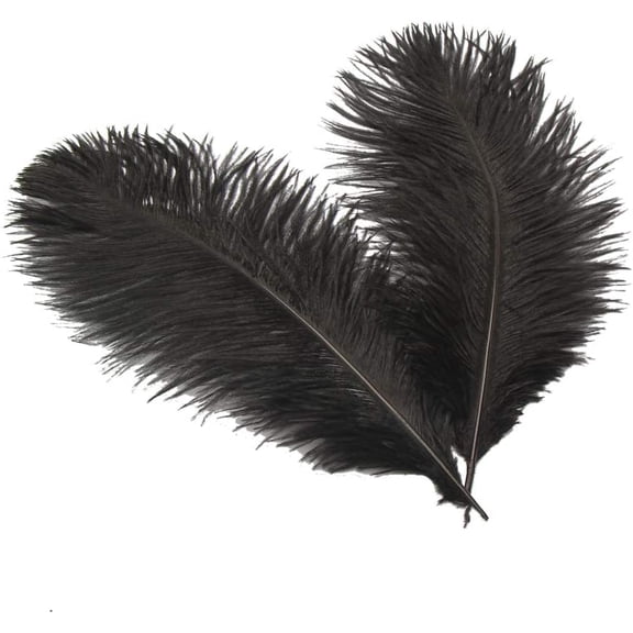 20 pcs Natural Black Ostrich Feathers Plumes 8-10 inch(20-25 cm) Bulk for DIYclothes Plumas para, Feather Pens, Dream Catcher, Gatsby Decorations