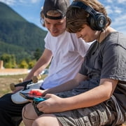 Switch Accessory: Orion UpSwitch Gaming Monitor