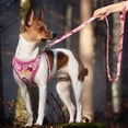 thumbnail image 4 of Pet Artist 3pcs Printed Dog Harness and leash and Personalized Dog Collar Set Custom Engraved, 4 of 11
