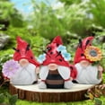 thumbnail image 5 of Hodao Spring Ladybug Gnome Figurines,Home Decoration,Gift, Set of 3, 5 of 6