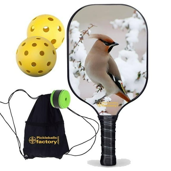Pickleball Factory PB0004-12-G Best Pickleball Paddle - Peace Bird Outdoor Voices Pickleball, Official Pickleball Balls, Glassfiber Graphite