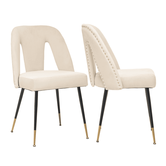 Dining Chairs, Modern Kitchen Dining Room Chairs, Upholstered Dining Accent Side Chairs in Velvet Cushion Seat with Nailheads and Gold Tipped Black Metal Legs (Set of 2)