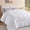 White, variant on Aquzin Comforter Queen Size, All Season Quilted Down Alternative Duvet Insert with Corner Tabs, Machine Washable Microfiber Bedding, Gray