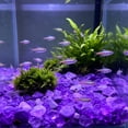 thumbnail image 6 of Fish Tank Decorations Rocks Little Glow in The Dark Aquarium Stones Fish Turtle Tank Pebbles Gravel Garden Rocks, 6 of 6