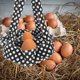 thumbnail image 5 of Bolsa De Lona Para Huevos Con 9 Bolsas Adecuadas Para Huevos De Granja Y Huertos, 5 of 8