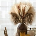 thumbnail image 5 of 80PCS Natural Pampas Grass Bouquet | Boho & Western Wedding Decor Flowers Dried Pampas Grass Decor for Elegant Floral Arrangements, Home & Table Decorations A, 5 of 9