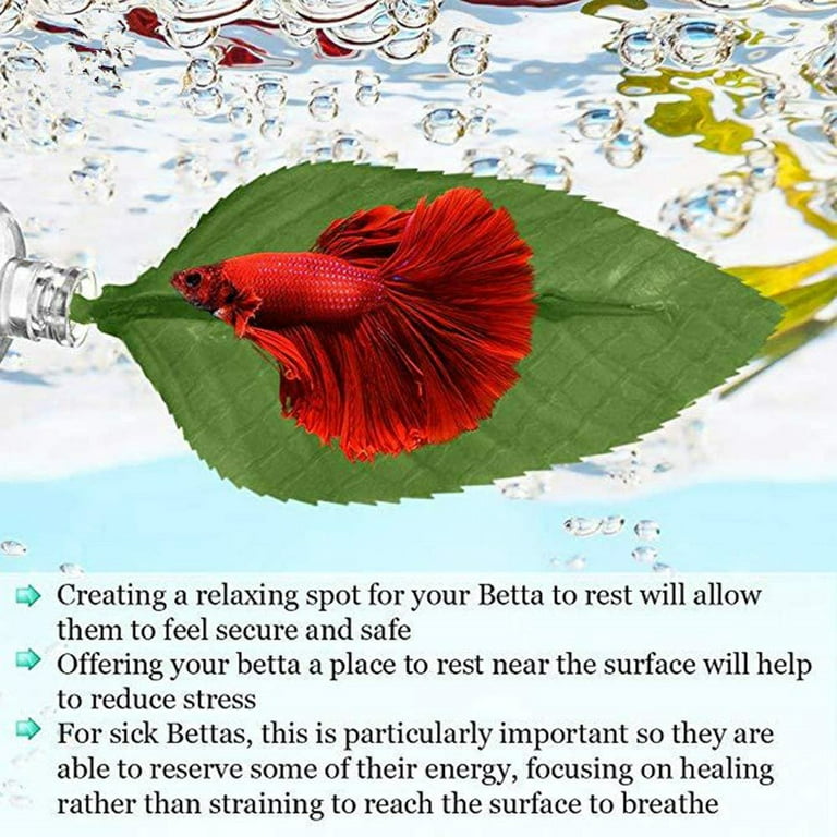 1/2/3/4/5/6PCS Betta Bed Leaf Hammock for Betta Fish Accessories