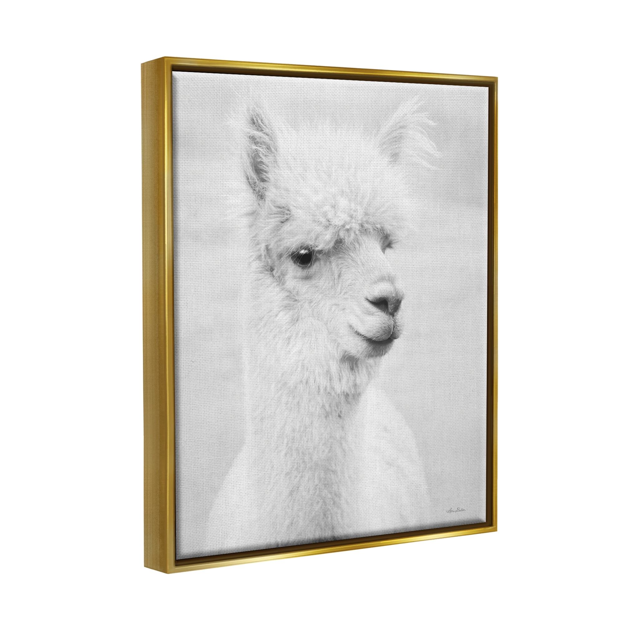 Stupell Monochrome Alpaca Farm Animal Animals & Insects Photography Gold Floater Framed Art Print Wall Art