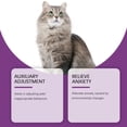 thumbnail image 6 of Soothing Cat Spray For Stress Relief And Behavior Guidance, Anti-Scratch Protection For Furniture, Multi-Pet Home Use, 1 Cat Protection Spray, 6 of 7