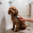 thumbnail image 6 of Pet Supplies De Matting Tool for Cats and Dogs – MicroSerrated Deshedding Brush with Undercoat Rake for Long Haired – Smoothing Grooming Aid for Daily Use, 6 of 8