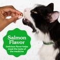 thumbnail image 5 of Greenies Feline Salmon Flavor Pill Pockets For Cats Soft Cat Treats, 3 oz Pouch (85 Count), 5 of 18