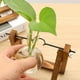 thumbnail image 4 of Jarrón de con Bombilla de de 3 Piezas, Terrario Hidropónico de Planta con, 4 of 9