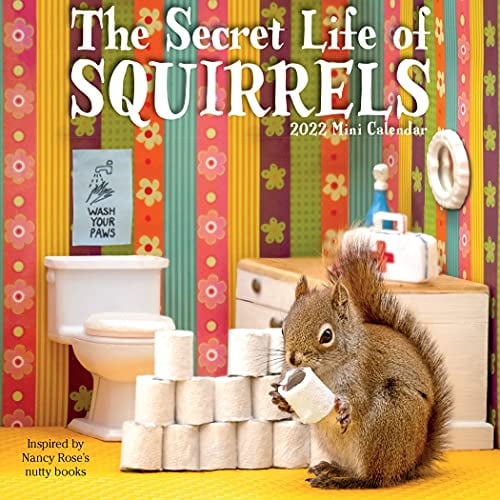 Pre-Owned SECRET LIFE OF SQUIRRELS MINI 202: A Year of Wild Squirrels Portrayed in Delightful Domestic Vignettes Paperback