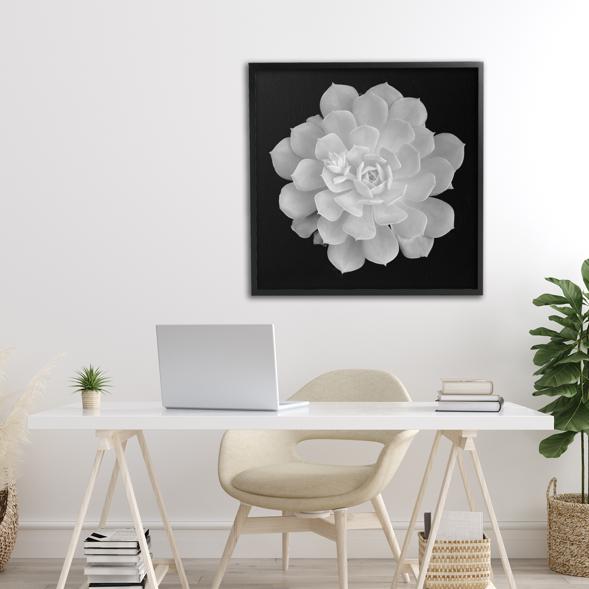 Pure White Succulent Contrast Black Framed Giclee Art, design by Phillip Flowers