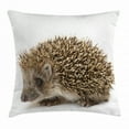 thumbnail image 1 of Hedgehog Throw Pillow Cushion Cover, Small Cute Mammal with Spiked Hair on Its Back and Sides Wildlife Photography, Decorative Square Accent Pillow Case, 16 X 16 Inches, Cocoa Brown, by Ambesonne, 1 of 2