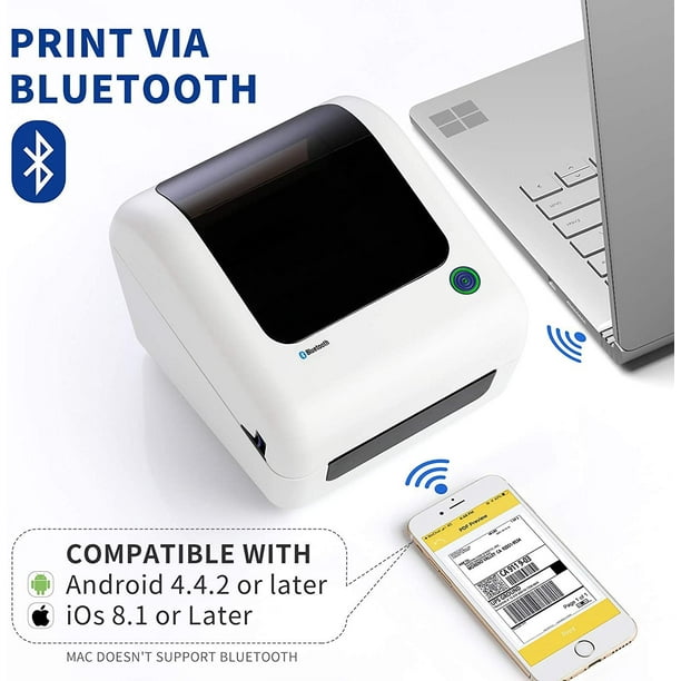 Mini Imprimante Portable Sans Fil BT, Mini Imprimante Bluetooth Est livrée  Avec 13 Rouleaux de Papier Thermique, Stylo de Couleur, pour l'impression  de Photos, D'étiquettes : : Informatique